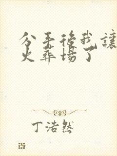 分手后我让渣攻火葬场了