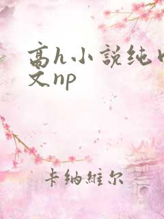 高h小说纯肉辣文np