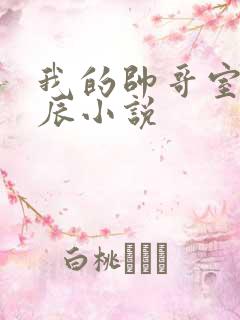 我的帅哥室友张辰小说