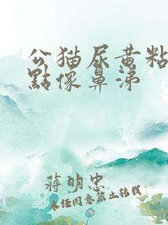 公猫尿黄粘稠有点像鼻涕