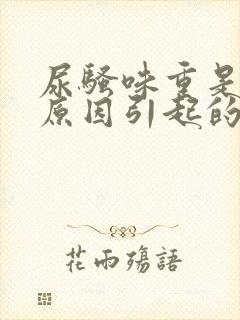 尿骚味重是什么原因引起的