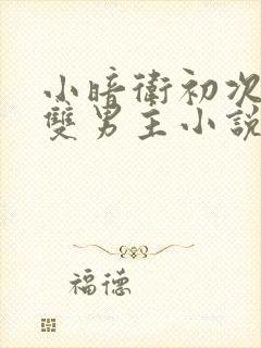 小暗卫初次承欢双男主小说