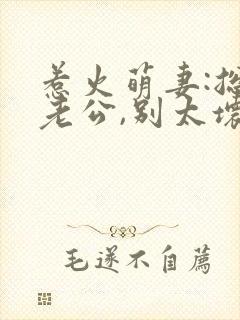 惹火萌妻:总裁老公,别太坏