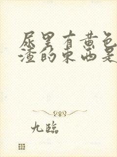 尿里有黄色豆腐渣的东西是什么情况