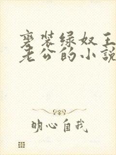 变装绿奴王八奴老公的小说