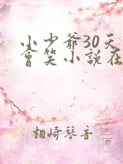 小少爷30天后会笑小说在线阅读