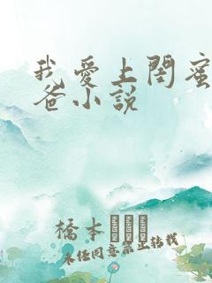 我爱上闺蜜的老爸小说