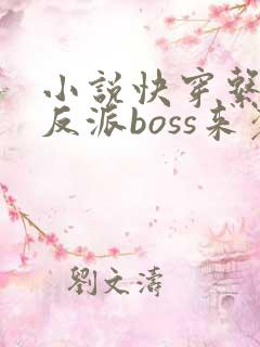 小说快穿系统之反派boss来袭