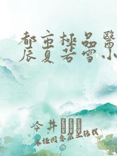 都市极品医神叶辰夏若雪小说免费阅读