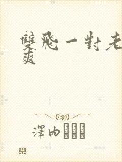 双飞一对老熟女爽