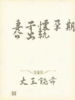 妻子怀孕期间老公出轨