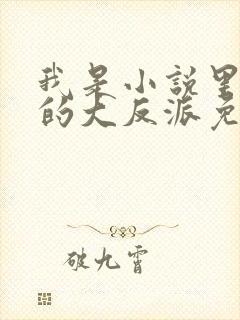 我是小说里共同的大反派免费阅读