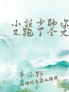 小说少帅你老婆又跑了全文免费