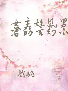 女主姓凤男主姓君的玄幻小说