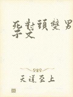 死对头双男主生子文