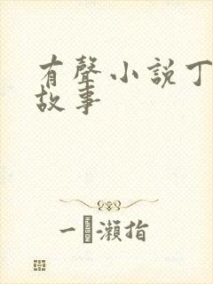 有声小说丁二狗故事