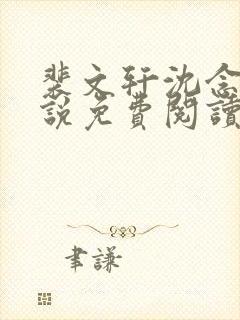 裴文轩沈念念小说免费阅读最新章节