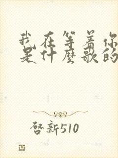 我在等着你回来是什么歌的歌词