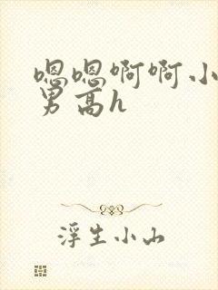 嗯嗯啊啊小说男男高h