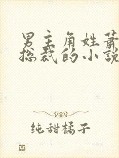 男主角姓萧是个总裁的小说