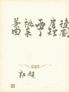 兼祧两房后夫君回来了短剧免费观看大结局