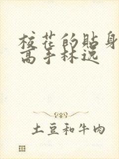 校花的贴身高手高手林逸