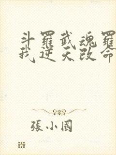 斗罗武魂罗三炮我逆天改命免费阅读