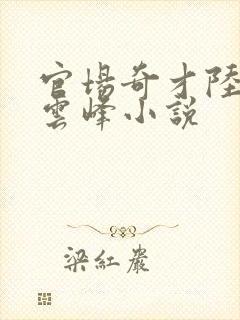 官场奇才陆羽刘云峰小说