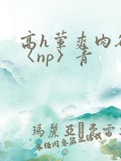 高h荤爽肉欲文〈np〉青