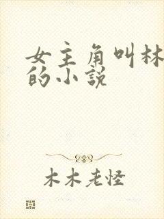 女主角叫林恩恩的小说