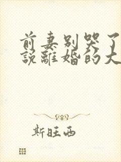 前妻别哭了是你说离婚的大结局