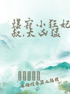 爆宠小狂妃:皇叔,太凶猛