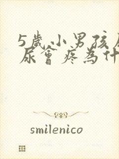 5岁小男孩尿完尿会疼为什么