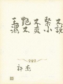 王艳又紧又大又湿又爽小说