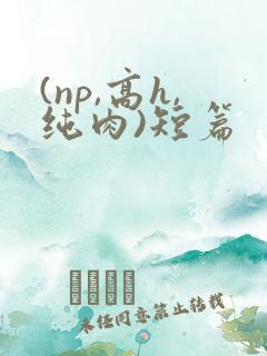 (np,高h,纯肉)短篇