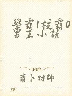 学霸1校霸0双男主小说