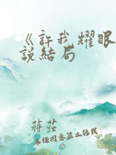 《许我耀眼》小说结局