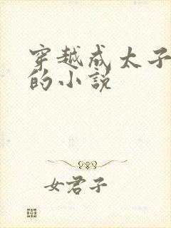 穿越成太子秦明的小说