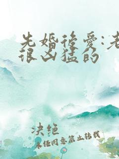 先婚后爱:老公很凶猛的