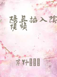 阳具插入阴道的视频