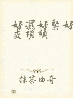 好湿好紧好大好爽视频