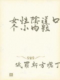 女性阴道口有两个小肉粒