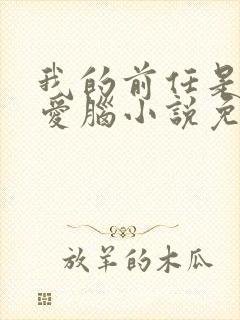 我的前任是个恋爱脑小说免费阅读