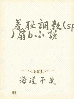 羞耻调教(sp)扇b小说