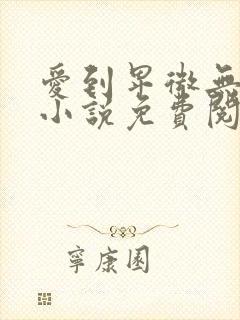 爱到卑微无遗憾小说免费阅读