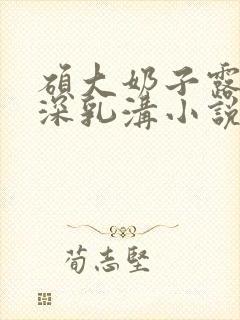 硕大奶子露出深深乳沟小说