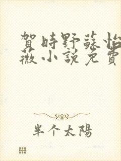 贺时野苏怡林薇薇小说免费阅读