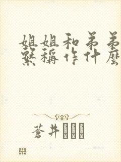 姐姐和弟弟的关系称作什么