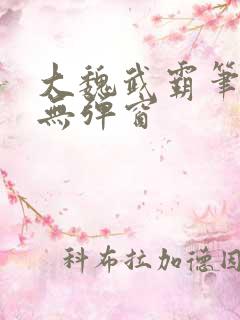 大魏武霸笔趣阁无弹窗