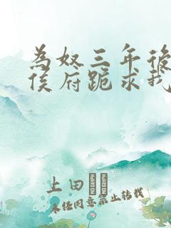 为奴三年后整个侯府跪求我原谅免费阅读